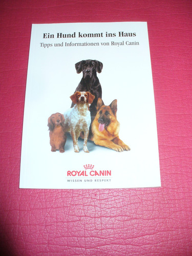 Ein hund kommt - kommt, ins