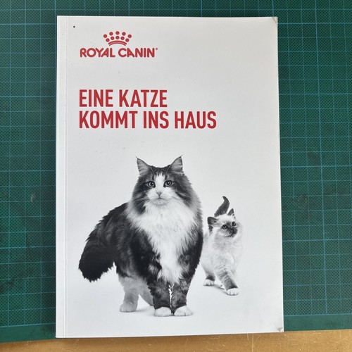 Eine katze kommt - katze, ins